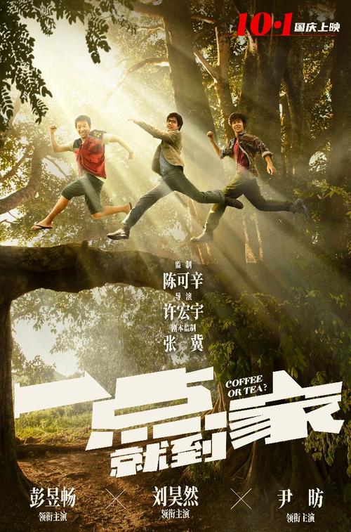 做假弗吉尼亚州  ID